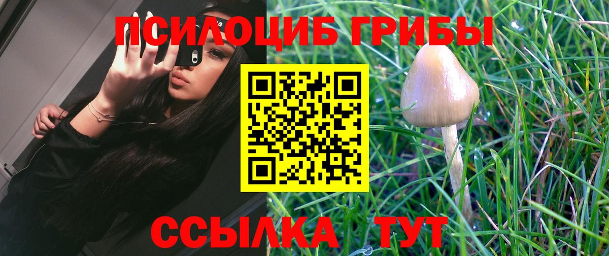 Псилоцибиновые грибы MAGIC MUSHROOMS Новотроицк