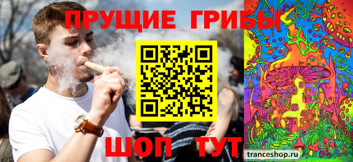 Новотроицк  где найти наркотики  Галлюциногенные грибы прущие грибы  Вход с VPN  Галлюциногенные грибы Cubensis 